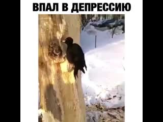 Впал в дипрессию