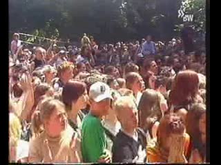 How much is the fish [live at halberg open air 2001]