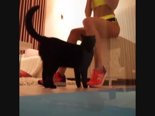 Домашняя тренироа с фитнес резинкой alicja fitness motivation