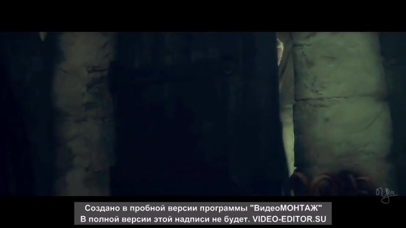 Драмиона платина и шоколад (1)