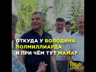 Откуда у вячеслава володина 540 млн ₽ на счетах?