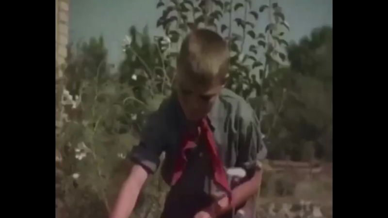 Урожай конопли