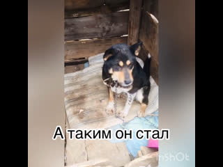 Рэкс