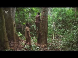 Majstri včiel (8) posvätný med kmeňa baka kamerun