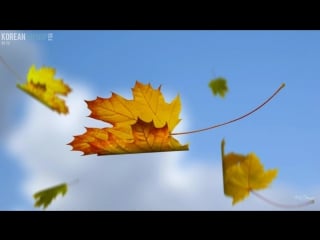 [rus sub] kim sungkyu feat borderline (tablo & jw) daydream