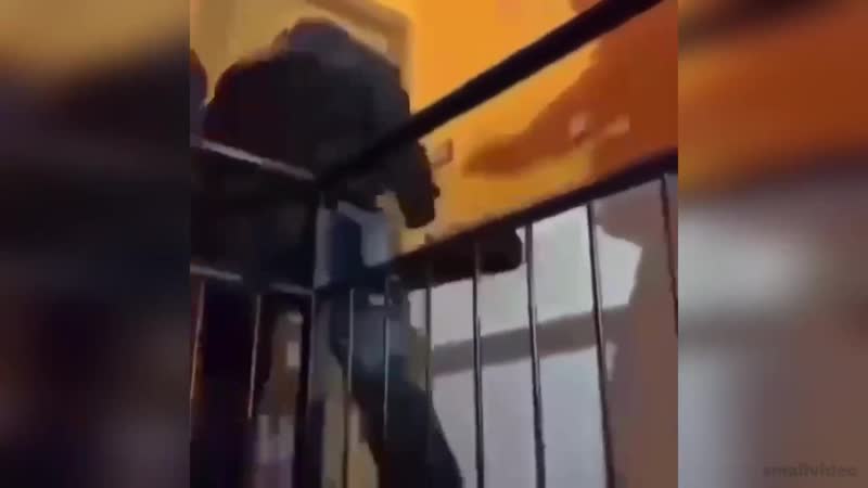 И нет ни доли сомнения