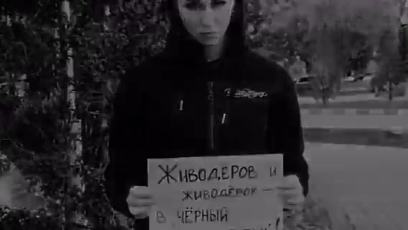 Святое воинство 2017