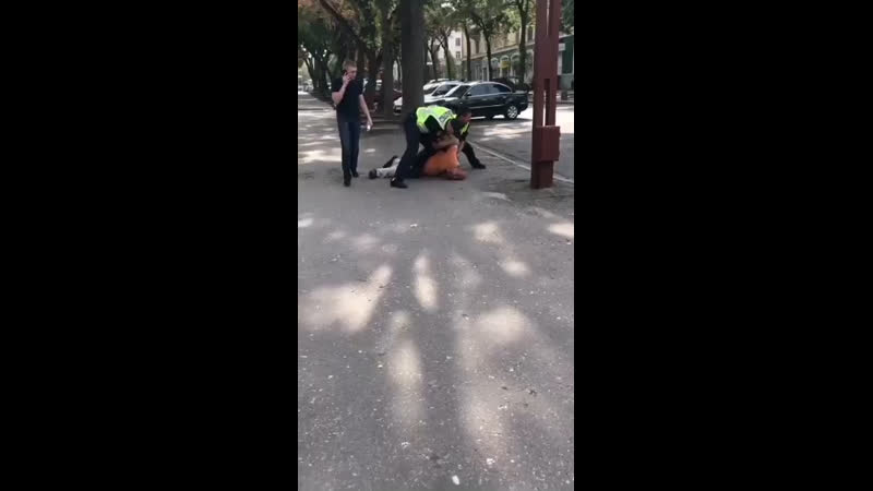 Туд реборн шелест утренних звёзд