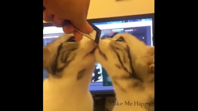 Еще прикольная подборочка котейки!
