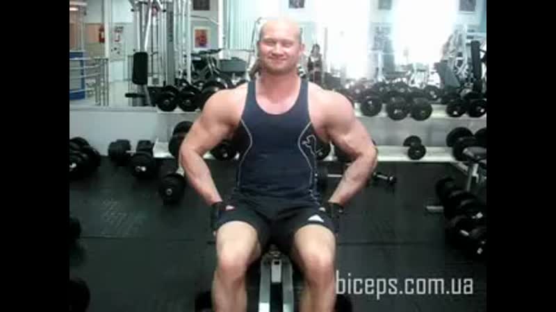Разведения с гантелями сидя