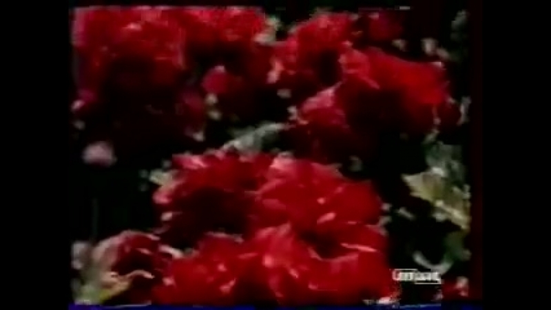 Улыбнись, ровесник! ссср гдр 1976