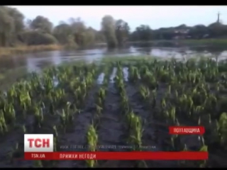 Полтавщину накрив буревій з градом