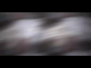 Jojo bizarre adventure | bruno buccellati | joseph joestar | anime edit