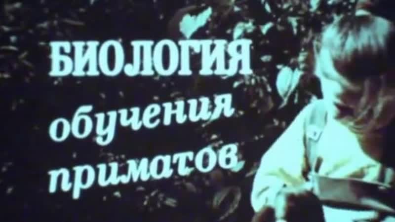 Биология обучения приматов / 1990