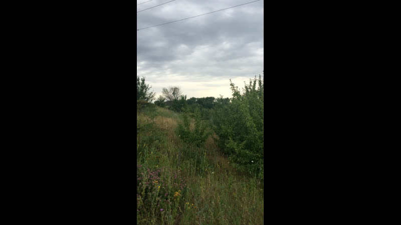 Давно ходили в лес?