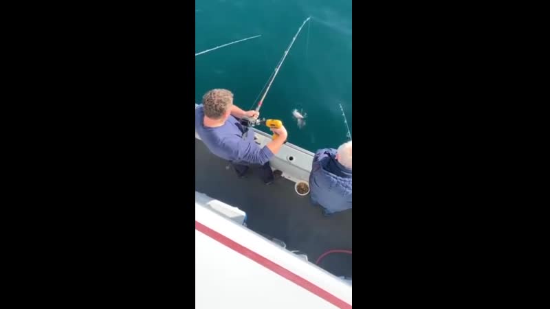 Лень порождает гениальность