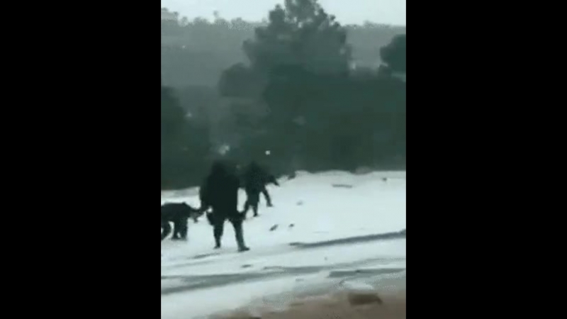 Брутальная полиция остановилась для важного дела