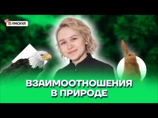 Взаимоотношения в природе