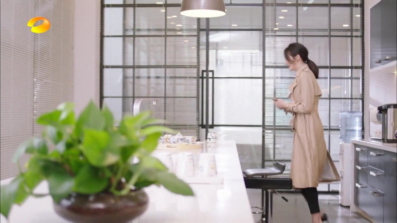 Да, господин модельер! 19 озвучка