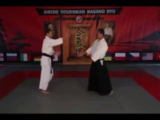 Aikido yoshinkan nagano ryu training