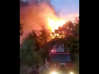 Hatay samandağ ® on instagram yangın evlere kadar yetişti rabbim yardımcımız olsun hatay iskenderu