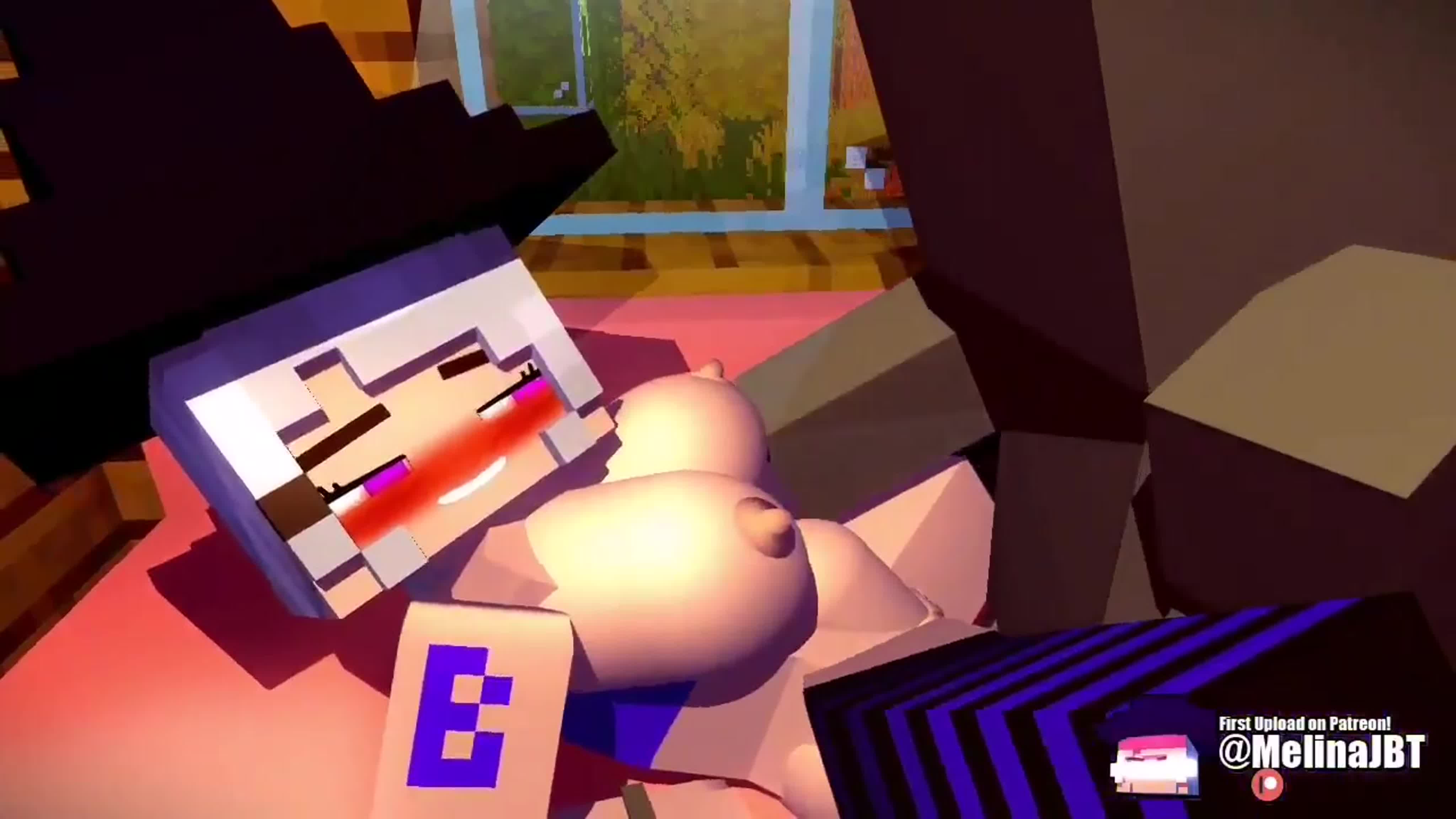 Майнкрафттағы секс