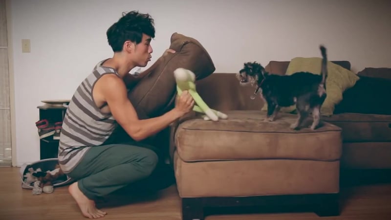 Странности собачников