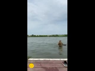 Отправил жену за рыбой 😳🤣