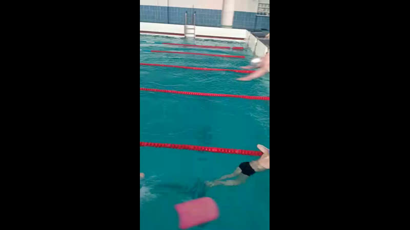 Парашютные прыжки в нижне live