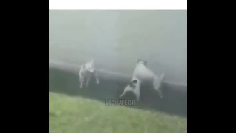 Музыкальная xxx porno пауза