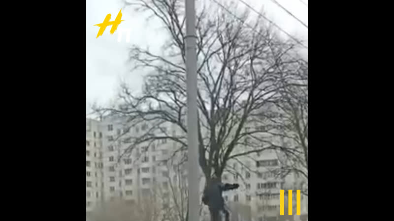 Обычный денек в купчино