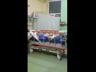 А мне плевать на коронавирус
