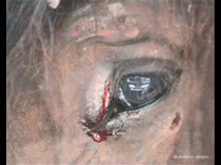 Издевательство (у кого нервы не к черту смотреть не советую)