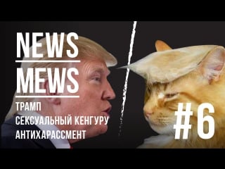 News mews #6 трамп, сексуальный кенгуру, антихарассмент