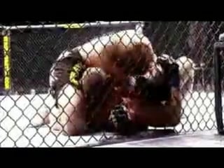 Cain velasquez tribute