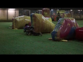 Волчицы снеговики