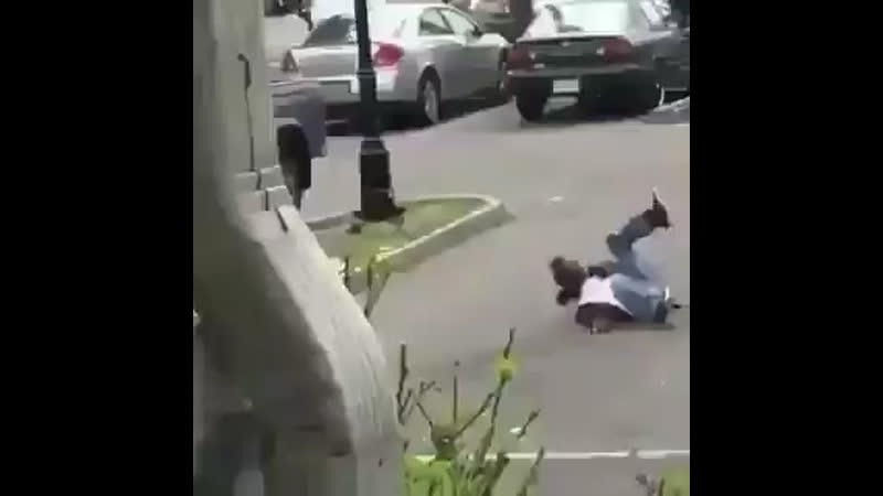 Толкнул обезьянку