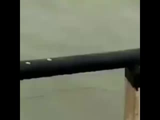 Thats why seafarers are the real hero lifeatsea marineinsight sea ( 480 x 480 ) mp4