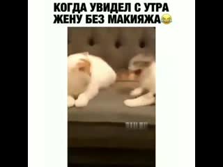 Обычные семейные будни