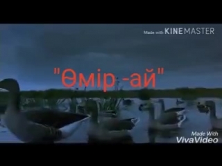 Видео от жанұзақ жиенқұлова