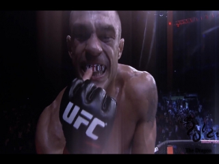 Vitor belfort vs michael bisping