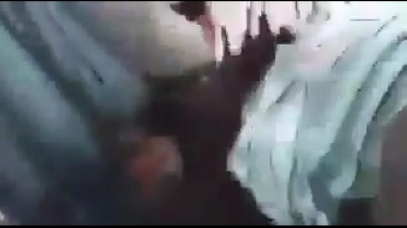 Today morning taliban collects seized weapons and ammunitions from kabul regime