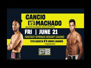 Боксерское шоу в индио ✰ highlights