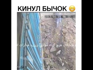 Кинул бычок ужас детям не смотреть карма шок супер смешное видео жесть прикол юмор игры