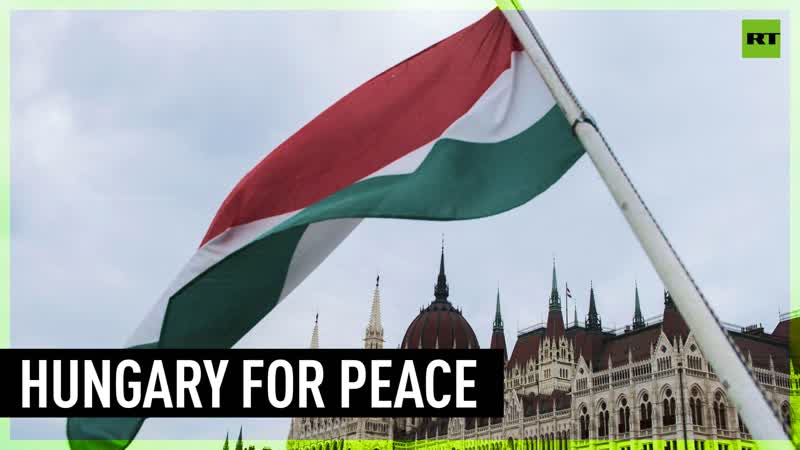 Hungary calls for immediate ceasefire in ukraine