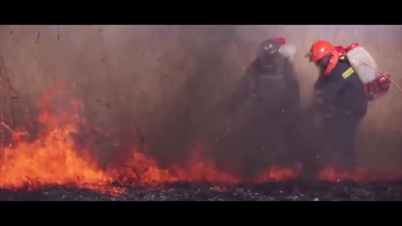 Ближневосточный "париж" засратый ливан их нравы моя планета