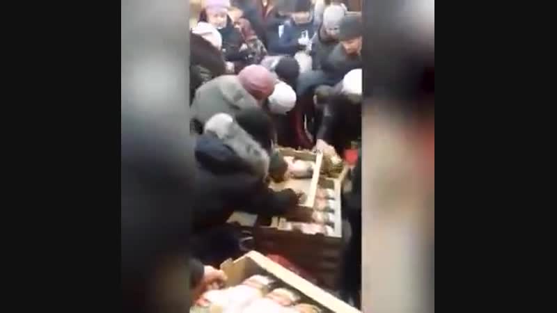 Рязань дикси куры