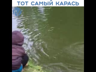 Это тот самый карась [18+]