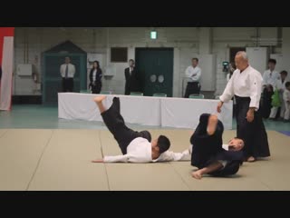 Aikido endo seishiro shihan 55th all japan aikido demonstration 2017