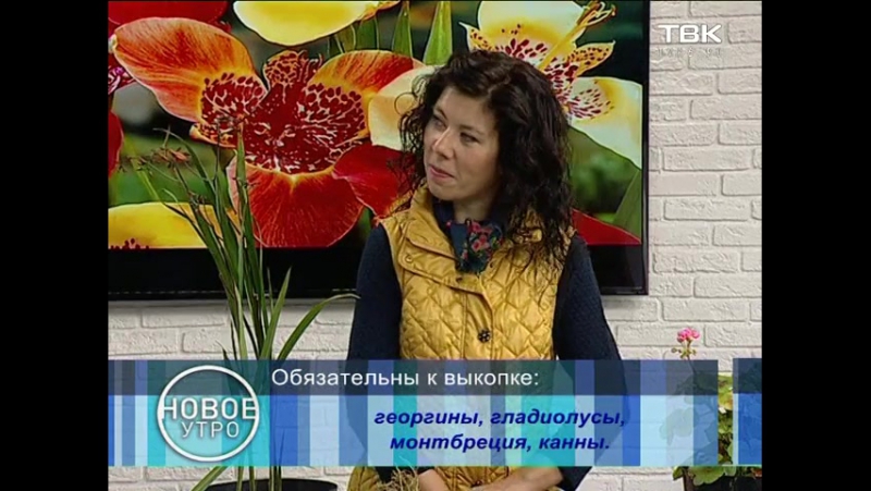 Советы ландшафтного дизайнера׃ многолетники, не зимующие в грунте